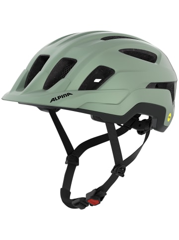 Alpina PARANUS MIPS in Grün2047