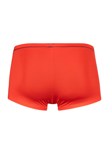 Olaf Benz Retro Pants RED2479 Minipants in mars