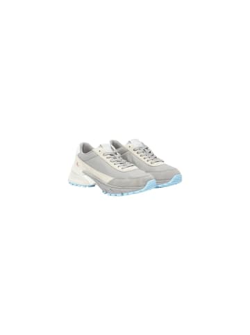 CALVIN KLEIN JEANS Grau Wildleder Sportsneaker