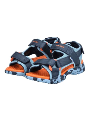 Geox Sandalen in Navy