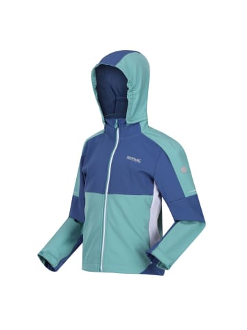 Regatta Softshelljacke Acidity VI in Türkis