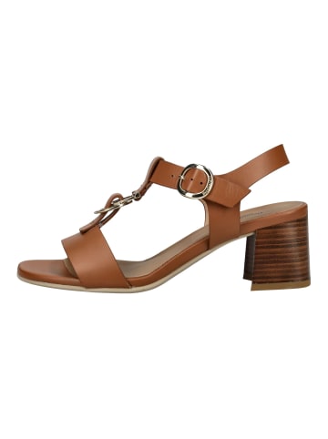 Nero Giardini Sandalen in Cognac