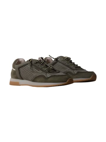 Redskins  Lubec-Sneaker aus Leder Grün