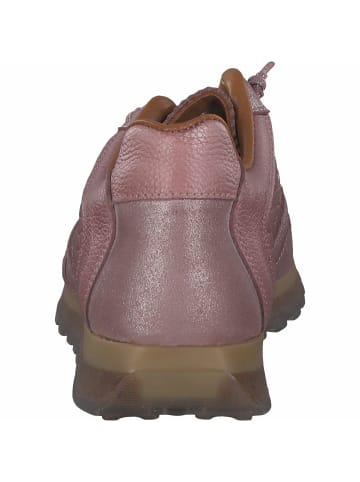 Cetti Komfort Schnürer für Damen in Lila