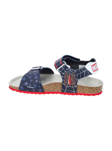 Geox Sandalen in Blau