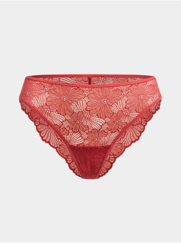 Erlich Textil  Spitzen Slip CLASSY LACE SLIP in granatapfel