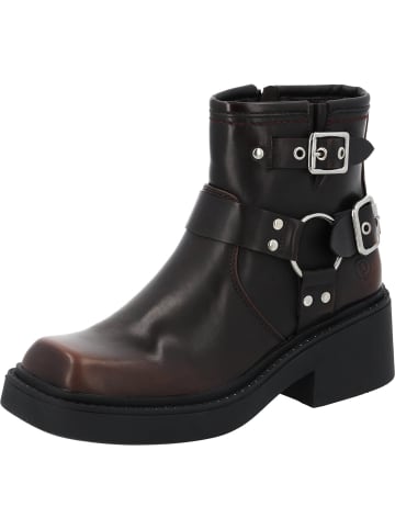 palado Stiefel, Stiefeletten & Boots in brown