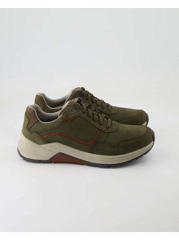 Pius Gabor Sneaker low in Grün
