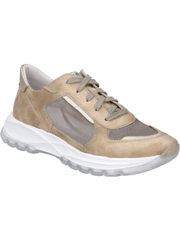 Gerry Weber Sneaker Andria 05 in creme-multi