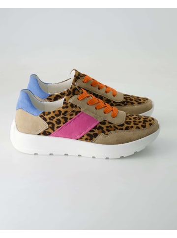 Ara Shoes Klassische Schnürschuhe