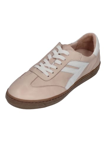 Andrea Conti Sneaker Low FREYA 0067151 in rosa