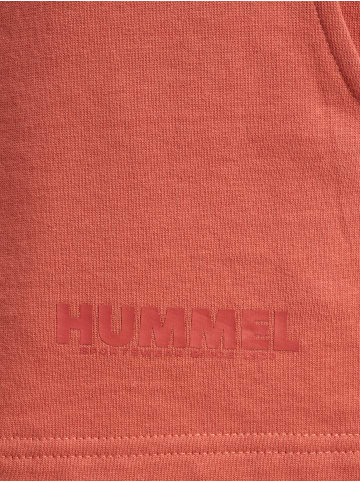 Hummel Hummel Kurze Hose Hmllegacy Damen in APRICOT BRANDY