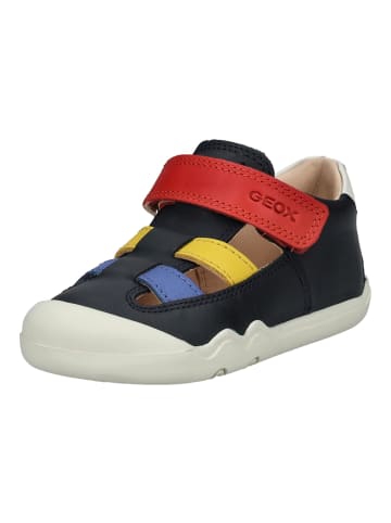 Geox Sneaker in Navy/Rot
