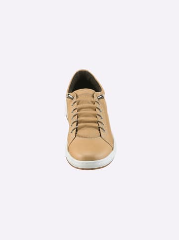 Andrea Conti Sneaker in camel
