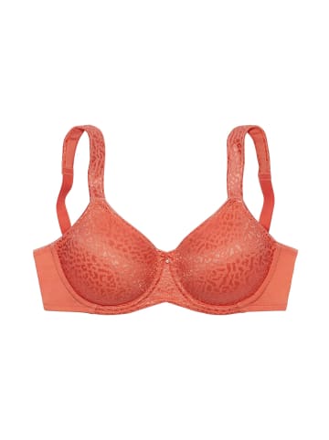 LASCANA Minimizer-BH in mandarine