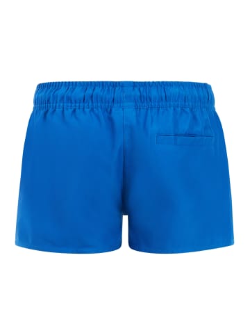 Protest " PRTEvi JR in Gladio Blue