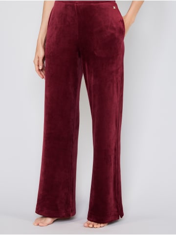JOOP! Sweatpants Velvet in DARK RED