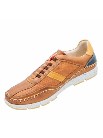 Pikolinos Sneaker in braun
