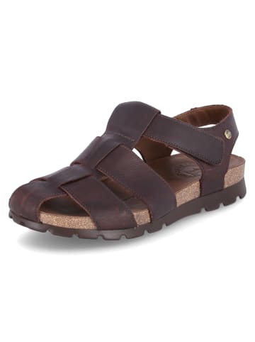 PANAMA JACK Sandalen in Braun