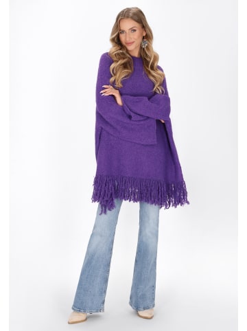 IZIA Women Sweater in violet