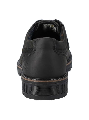 Camel Schnürschuhe in black