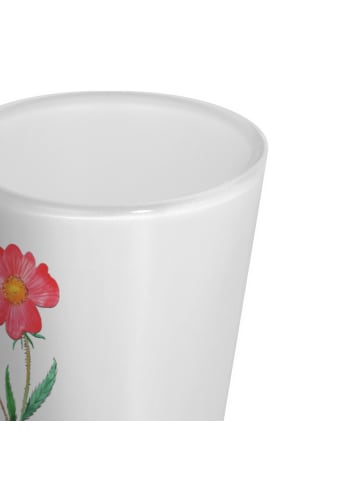 Mr. & Mrs. Panda Schnapsglas Blume HageRundunge ohne Spruch in Transparent
