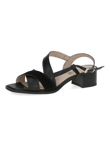 Caprice Sandalen in Schwarz