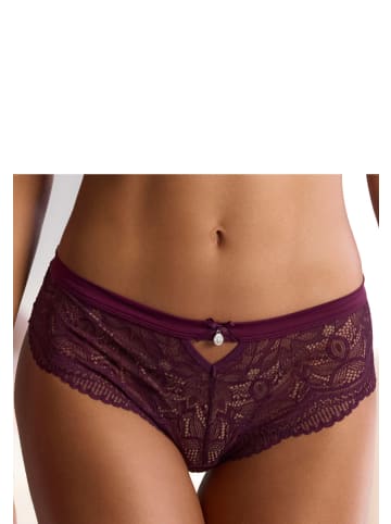 nuance Panty in aubergine