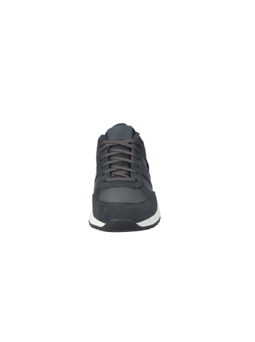 Geox Sneaker in anthracite