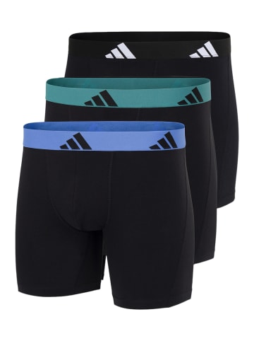 Adidas Sportswear Long Short / Pant Active Flex Cotton in Schwarz / grün / blau