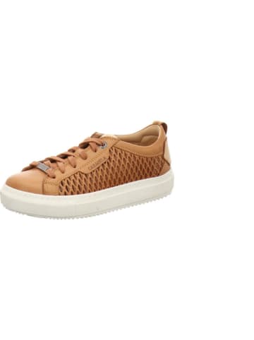 CARMELA Sneaker in braun