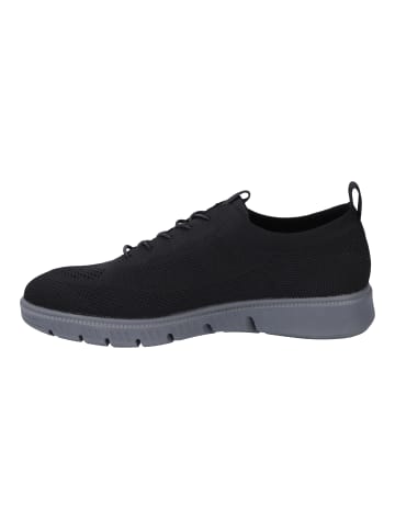 Josef Seibel Sneaker Falko in schwarz