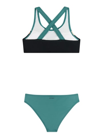 Protest " PRTFruity JR in Laurelgreen