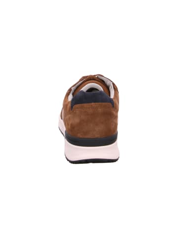 Pius Gabor Sneaker  in Braun