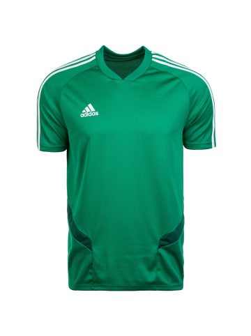 adidas Performance Trainingsshirt Tiro 19 in grün / weiß