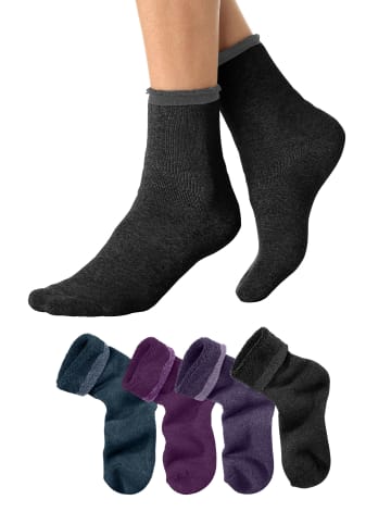 LAVANA basic Kuschelsocken in 1x petrol, 1x beere, 1x lila, 1x schwarz