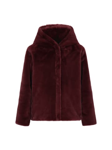 faina Women Jacket in burgundy