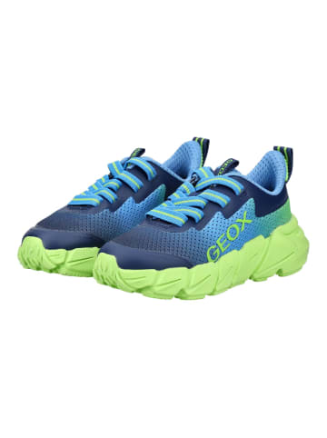 Geox Sneaker in Blau/Lime