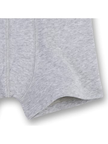 Sanetta Boxershort 1er Pack in Hellgrau