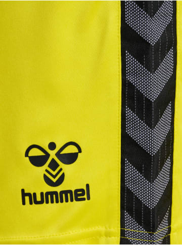 Hummel Hummel Shorts Hmlauthentic Multisport Herren Atmungsaktiv Feuchtigkeitsabsorbierenden in BLAZING YELLOW