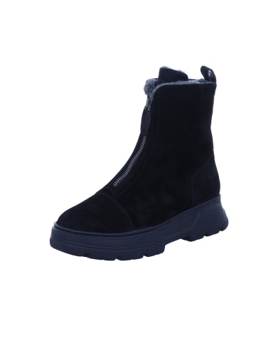 Paul Green Stiefeletten/Boot in schwarz