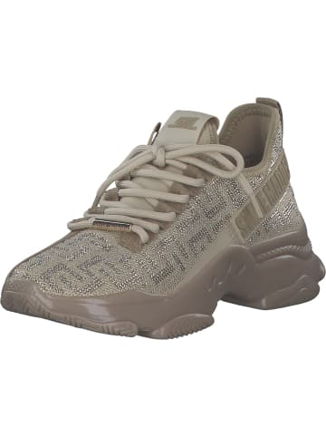 Steve Madden Schnürschuhe in BRONZE GOLD SILVER
