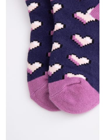 Coccodrillo Socken in bunt