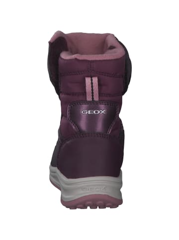 Geox Stiefeletten in VIOLET/PINK