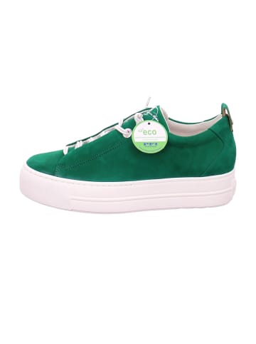 Paul Green Plateau Schnürschuhe in Grün