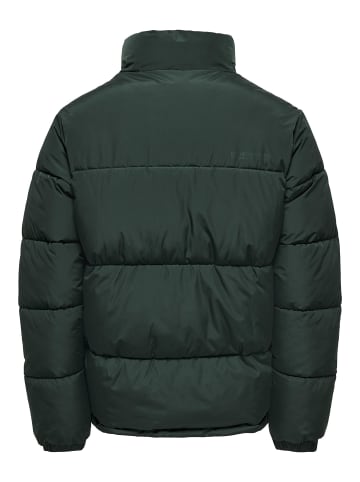 ONLY & SONS Daunenjacke in Darkest Spruce 1