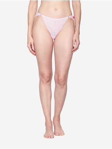 Joop! Jeans Brasilslip Wave Lace in Pink Tulle