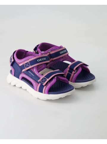 Geox Sandalen in Blau