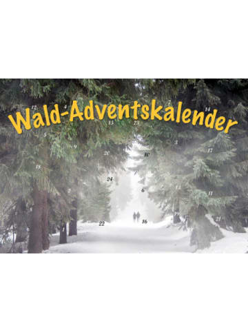 Husum Kalender - Durch den Wald im Advent