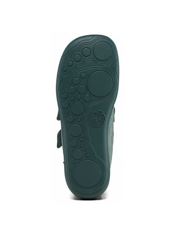 Affenzahn Klettschuh Buddy Hase in Grün